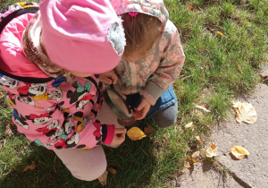 Dziewczynki oglądają budowę liści.